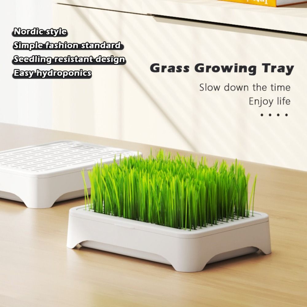 Grass Seed Spreader - Plastic Hydroponic Seeding Tray Self-planted Reusable