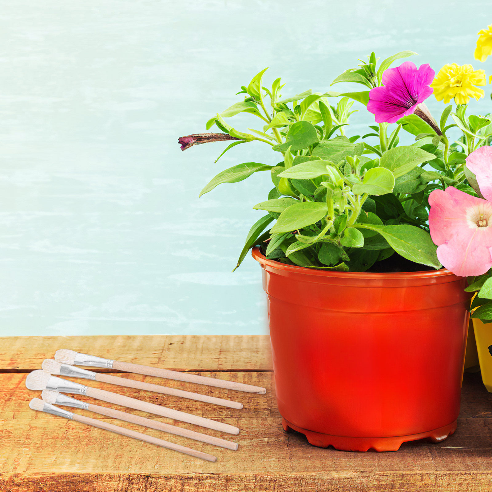 11Pcs Manual Pollinator Brush  - đánh giá và giá Gardening Tools Kit