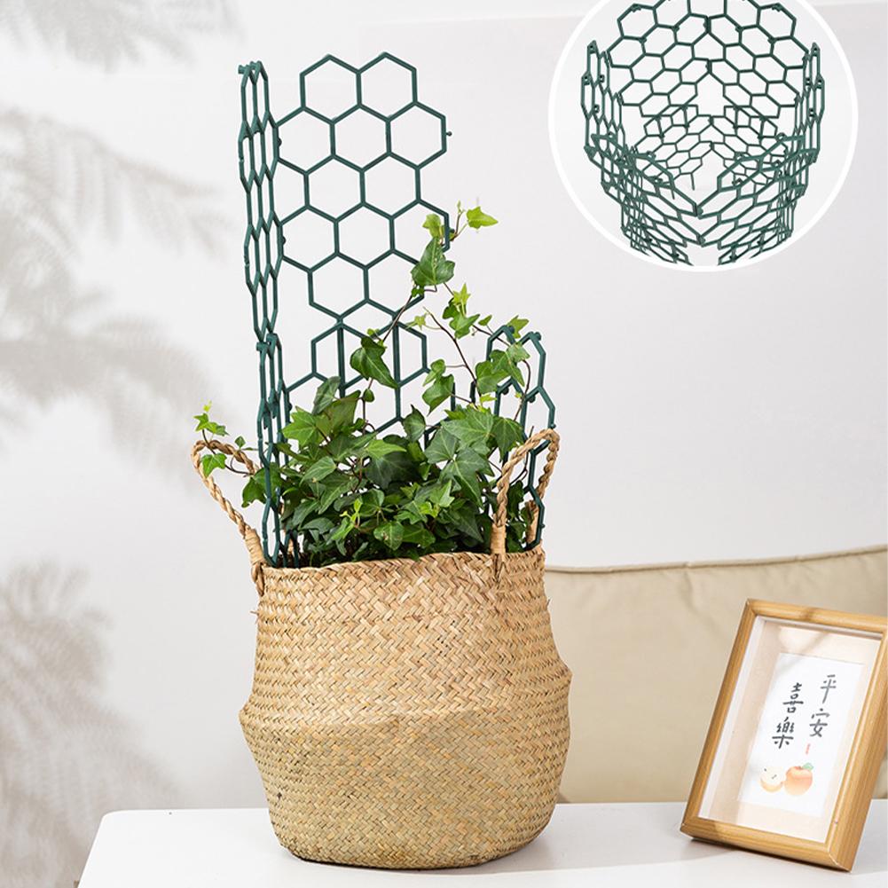 1/2/5Pcs Plastic Plant Support - đánh giá và giá Gardening Tools Usa