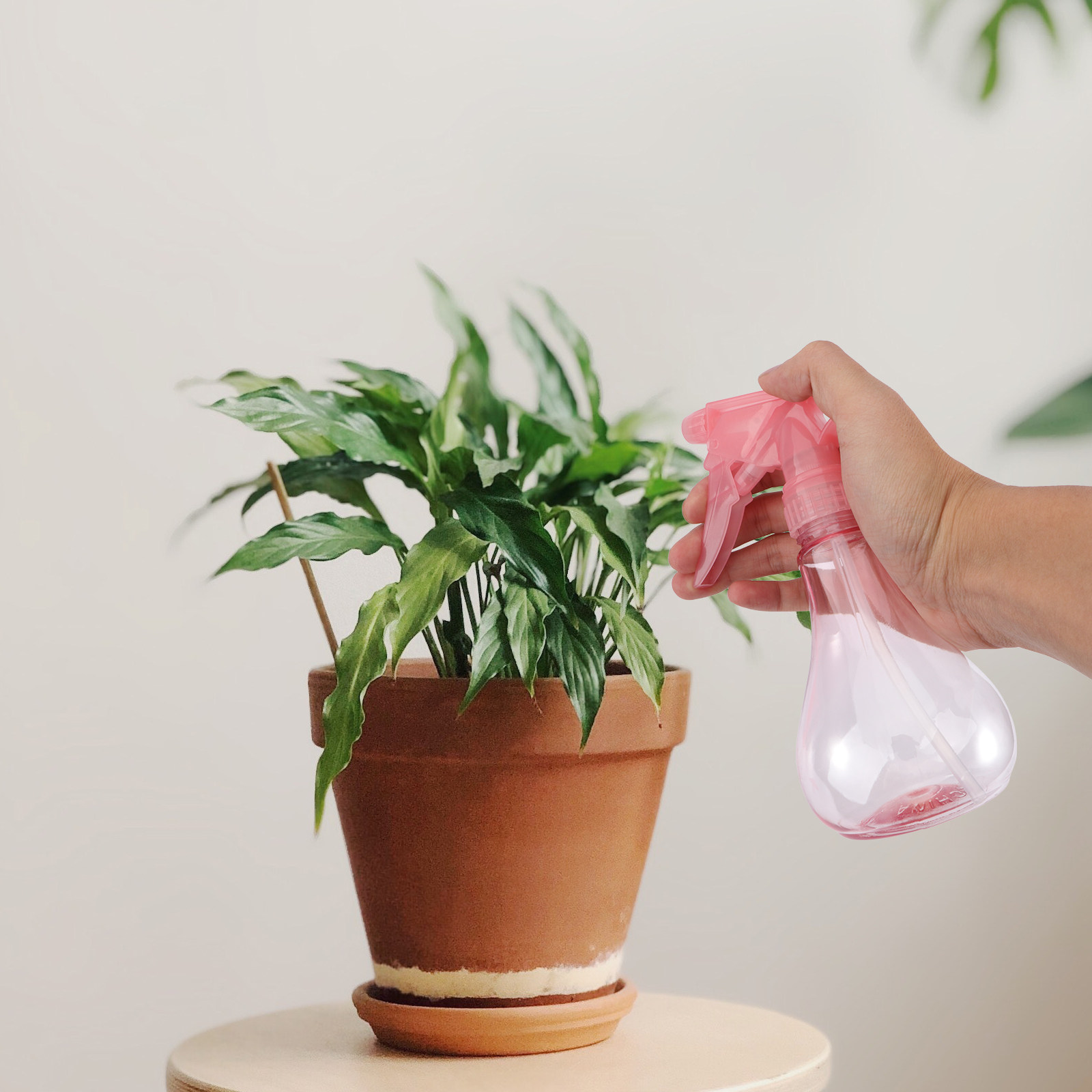 1Set Mini Succulent Planting T - đánh giá và giá Gardening Tools Kit