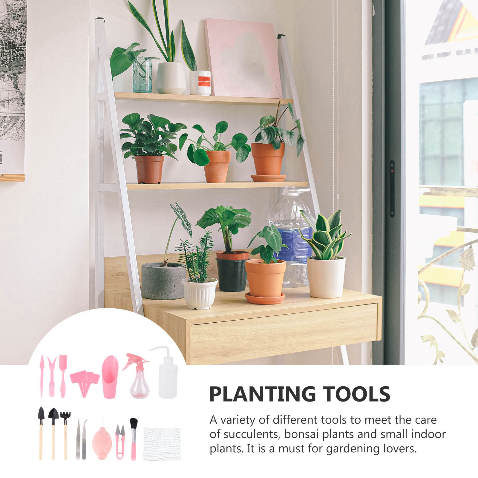1Set Mini Succulent Planting T - đánh giá và giá Gardening Tools Kit