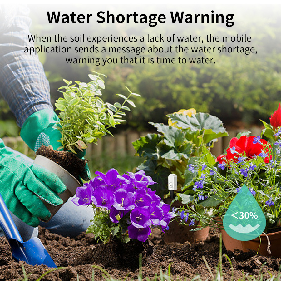 Smart ZigBee Soil Moisture Sen - đánh giá và giá Moisture Meter Plant