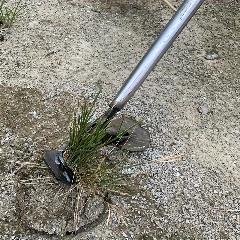 Multifunctional Manual Root Pu - đánh giá và giá Grass Seed Spreader