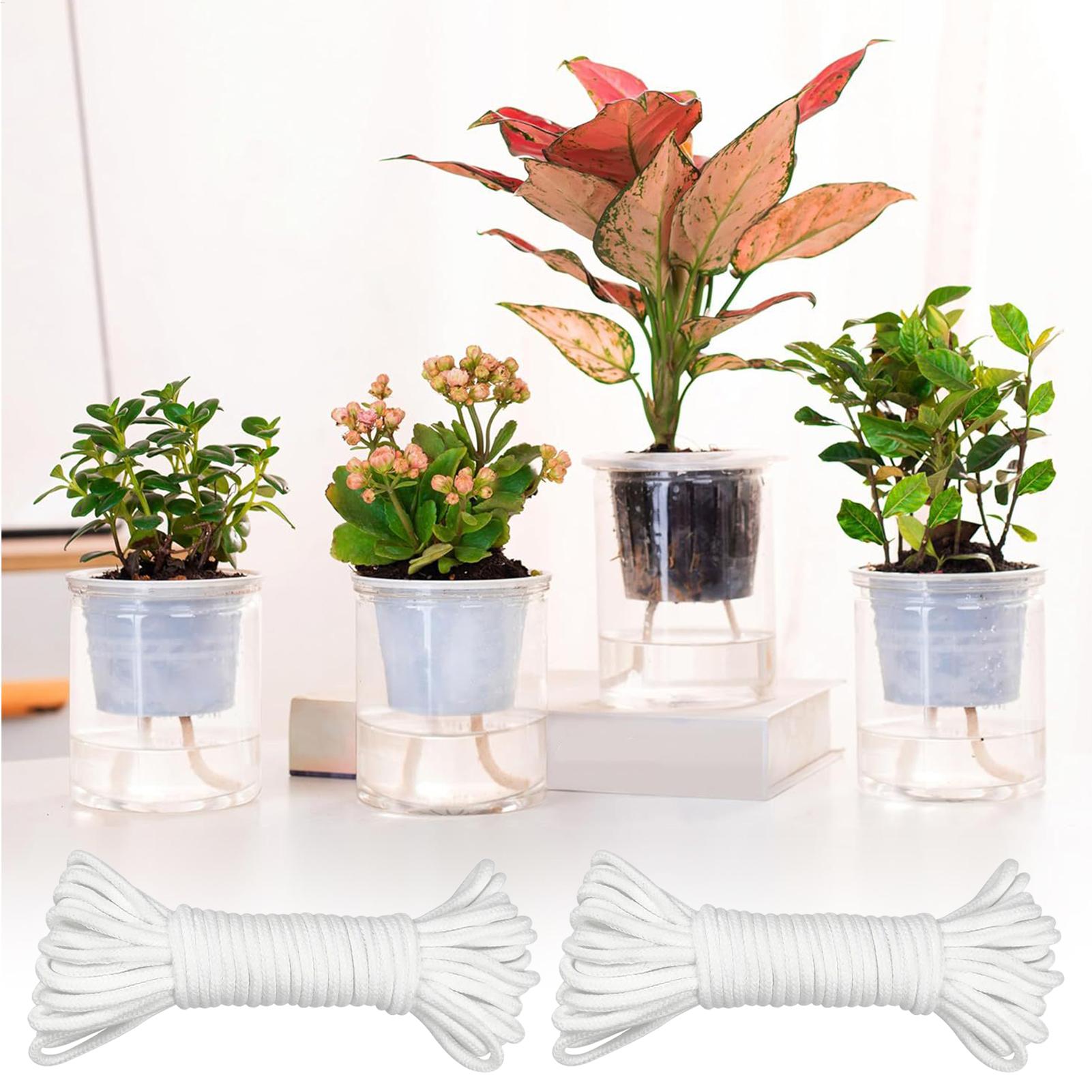 Plant Wicks For Self Watering  - đánh giá và giá Self-Watering Planter