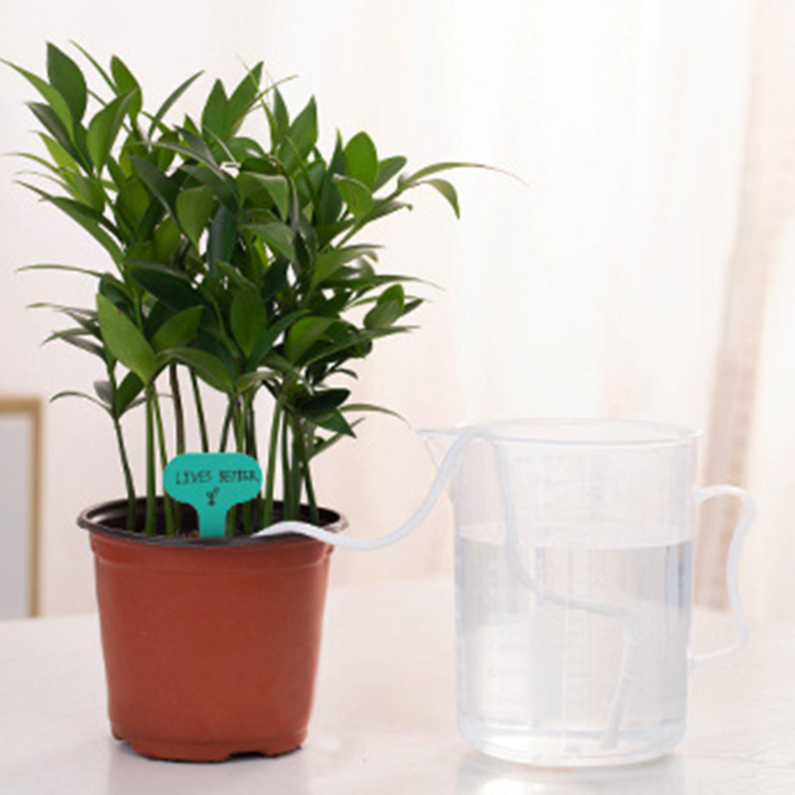 Plant Wicks For Self Watering  - đánh giá và giá Self-Watering Planter