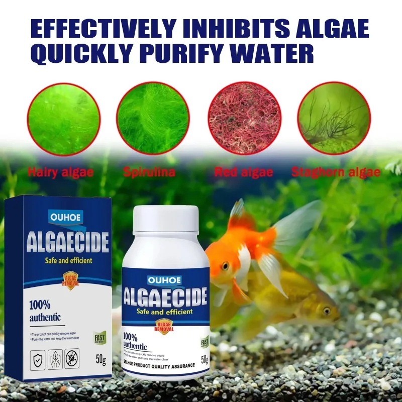 50g High Efficiency Algaecide  - đánh giá và giá Aquaponics Fish Tank
