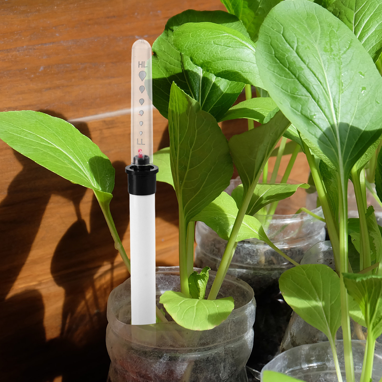 Water Table Moisture Meter for - đánh giá và giá Moisture Meter Plant