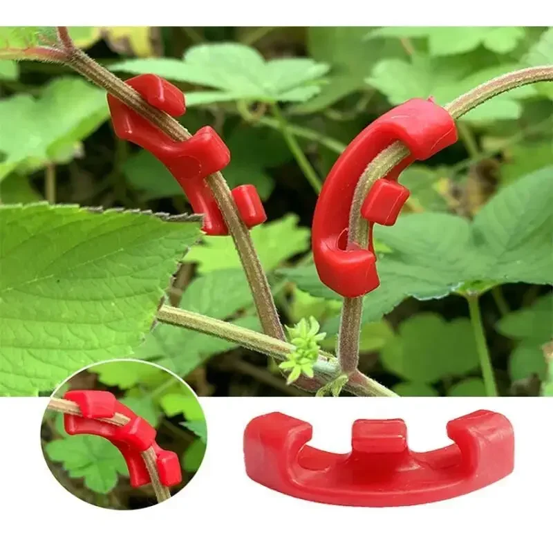 10-100Pcs 90 DegreePlant Train - đánh giá và giá Gardening Tools Lowes