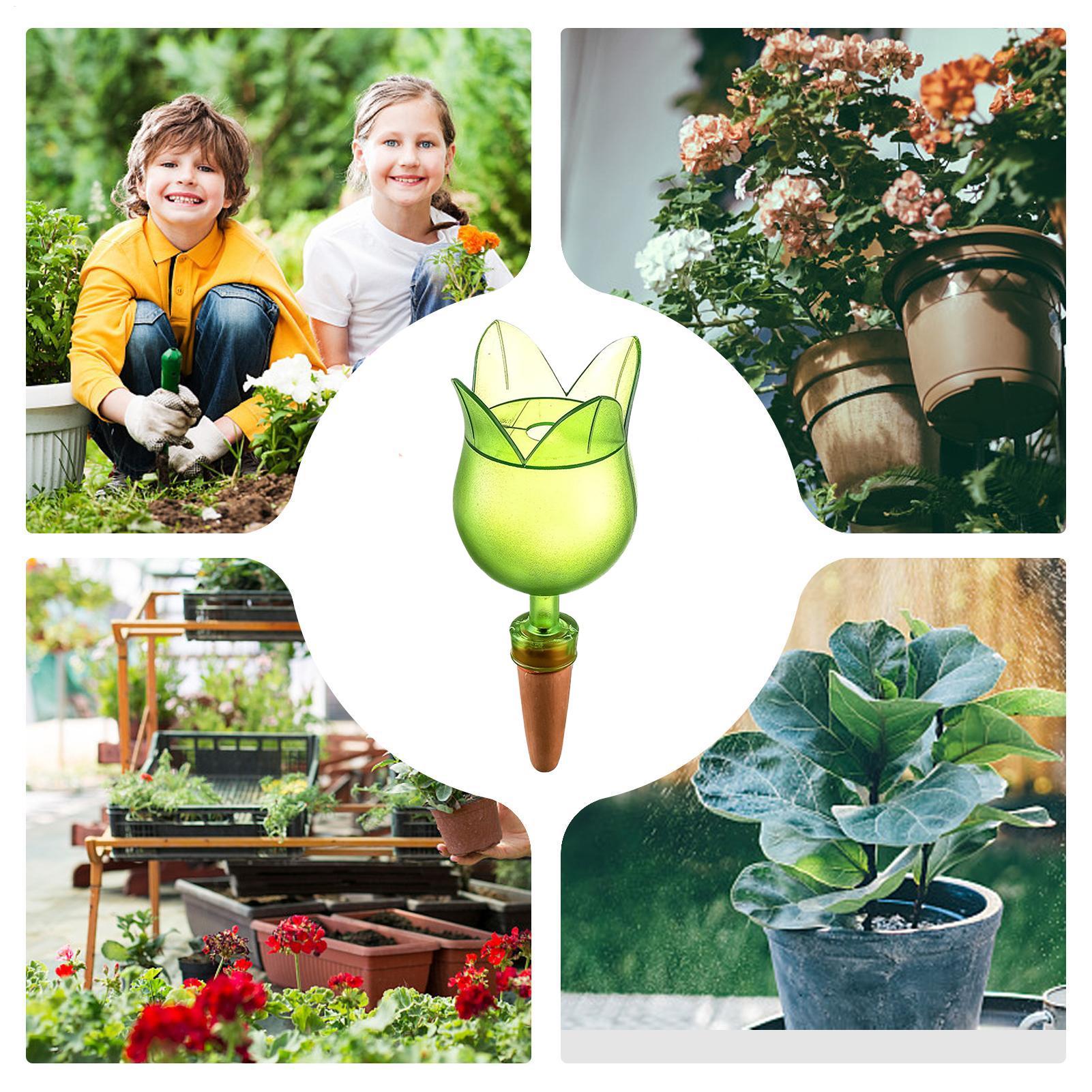 Plant Self Watering Devices Pl - đánh giá và giá Self-Watering Planter