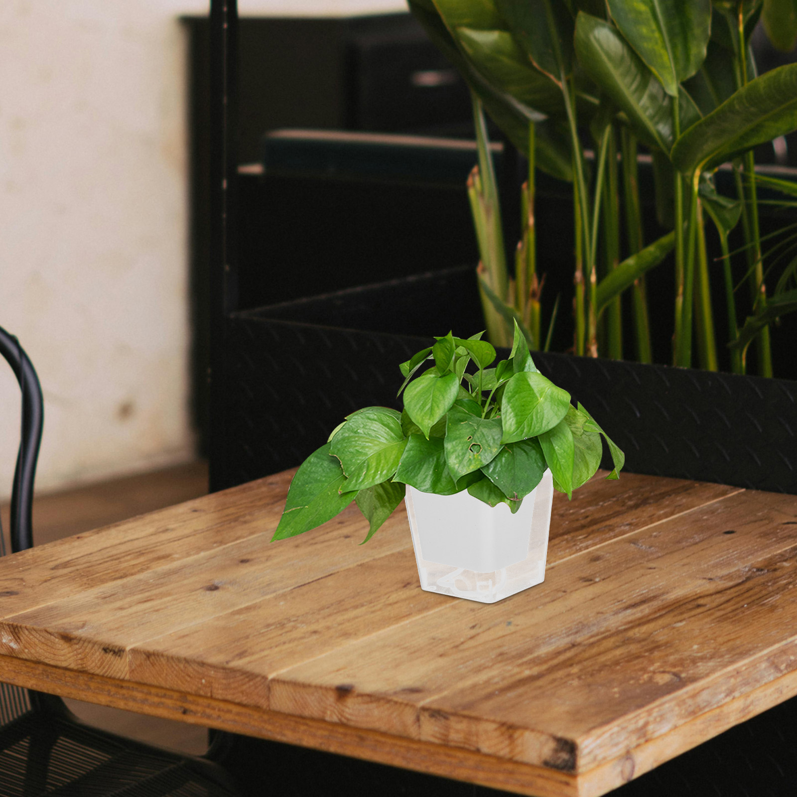 Mini Balcony Planting Pot Spac - đánh giá và giá Self-Watering Planter