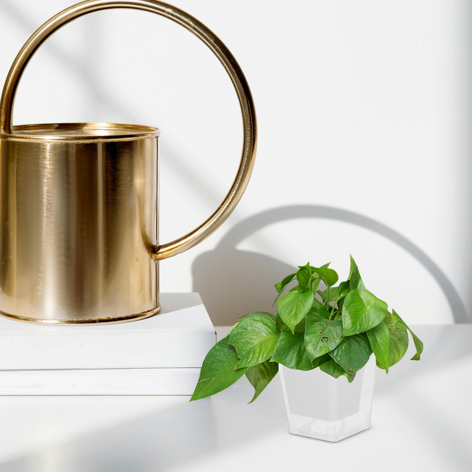 Mini Balcony Planting Pot Spac - đánh giá và giá Self-Watering Planter