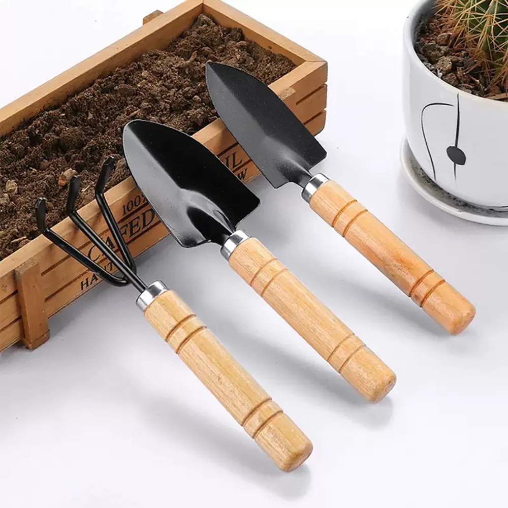 3Pcs/Set Mini Garden Tool Set  - đánh giá và giá Gardening Tools On Sale