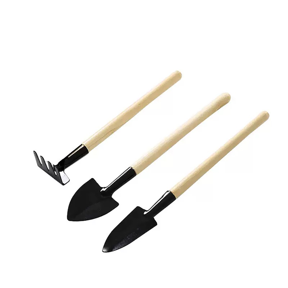 3Pcs/Set Mini Garden Tool Set  - đánh giá và giá Gardening Tools On Sale