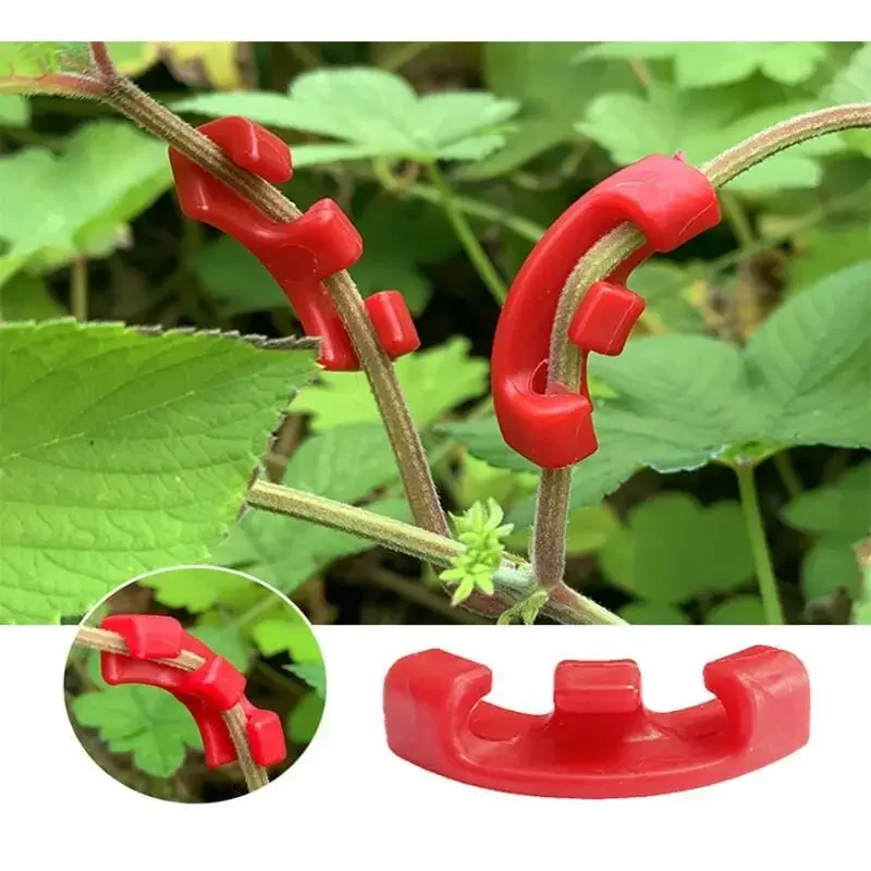 10-100Pcs 90 Degree Plant Bend - đánh giá và giá Gardening Tools Lowes