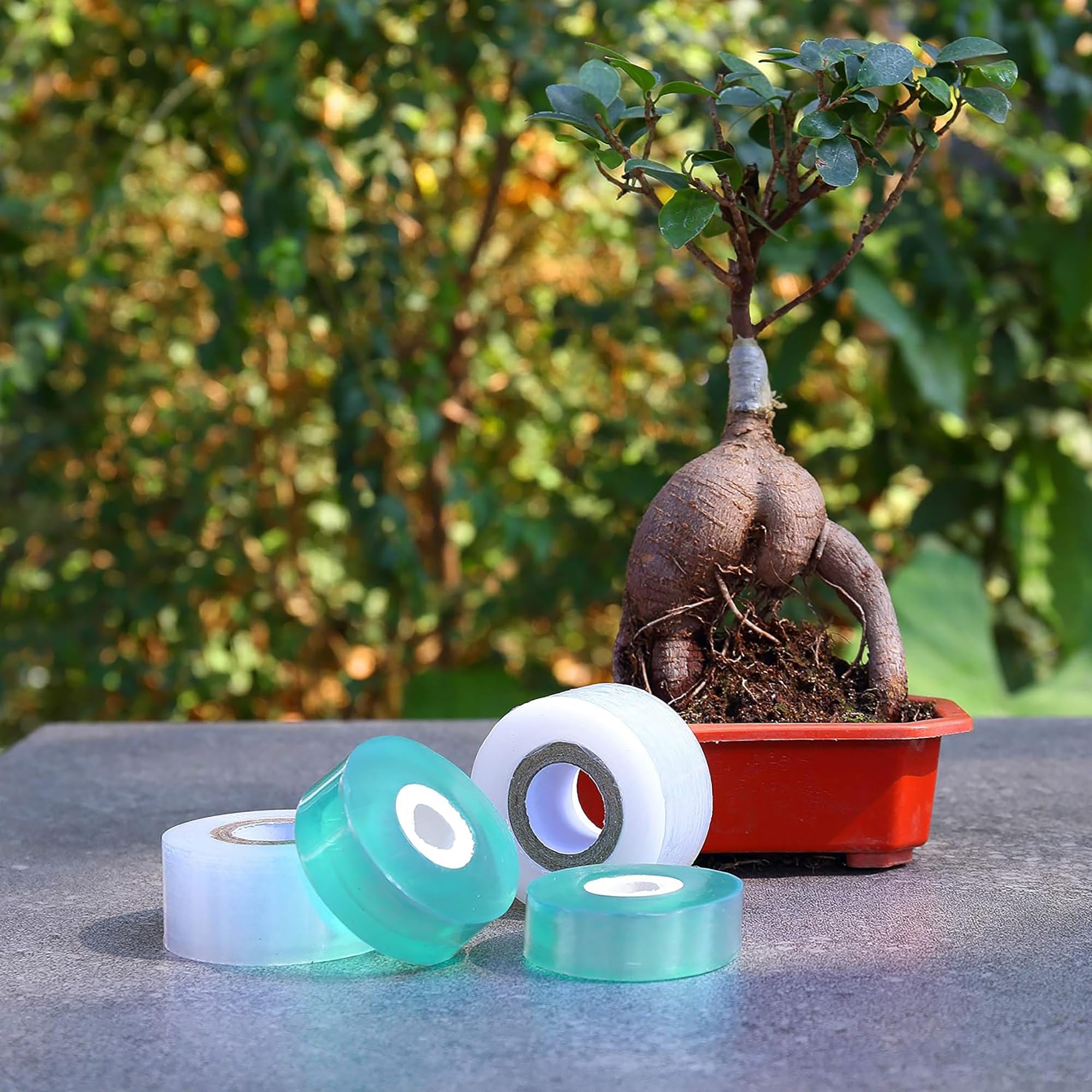 Easy Use Biodegradable Self Ad - đánh giá và giá Gardening Tools And Uses