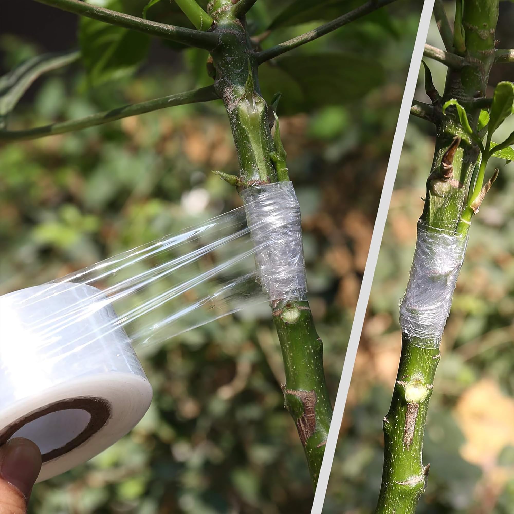 Easy Use Biodegradable Self Ad - đánh giá và giá Gardening Tools And Uses