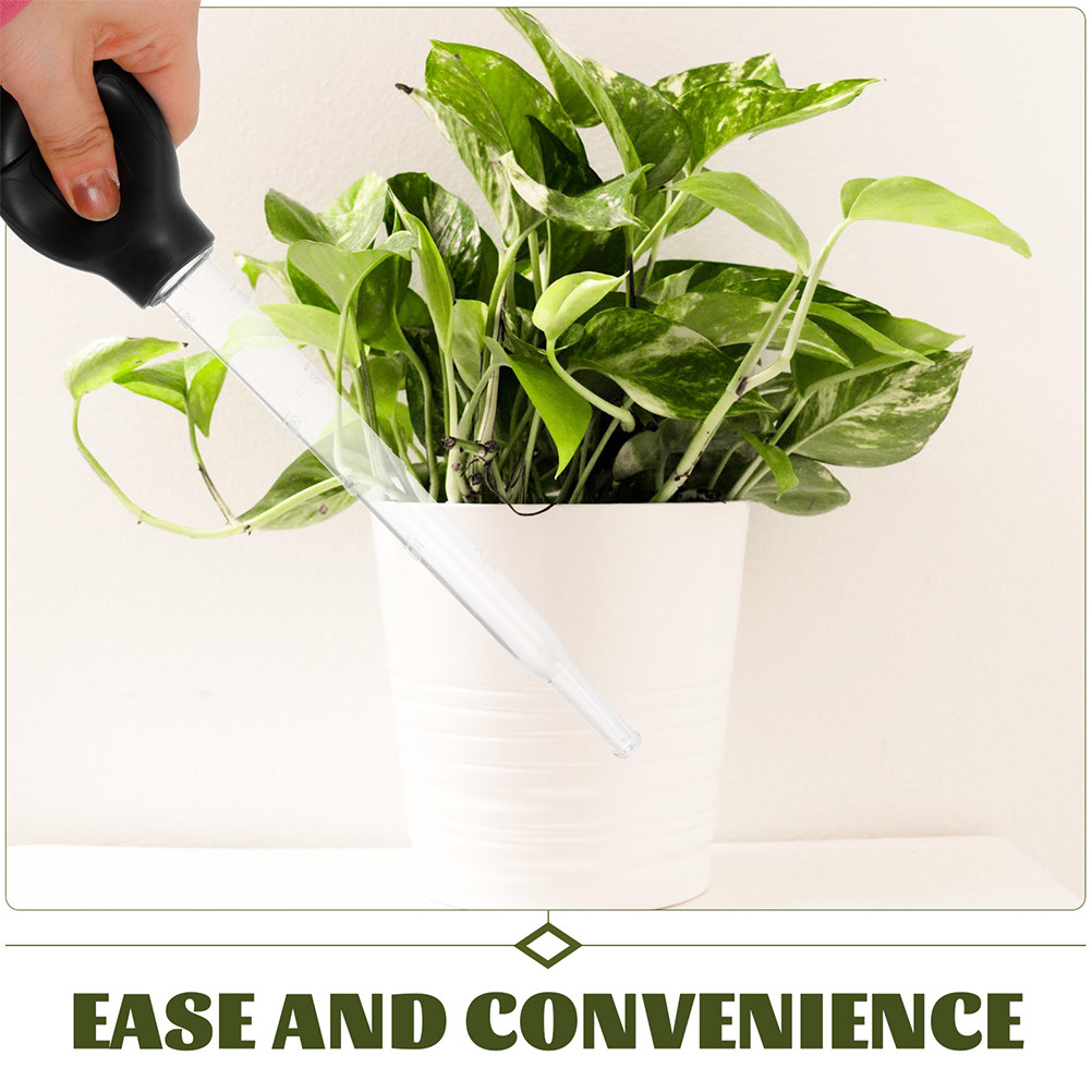 3Pcs Flower Pot Water Absorber - đánh giá và giá Gardening Tools And Accessories