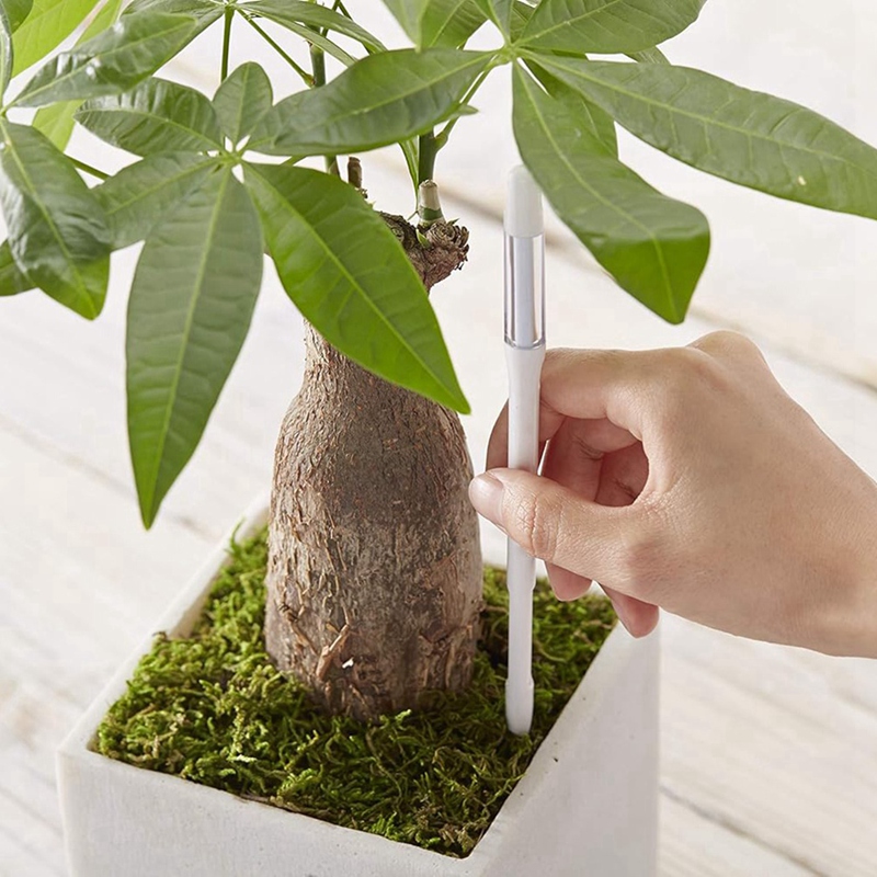Aquameter, 5pcs, Plant Soil Mo - đánh giá và giá Moisture Meter Plant