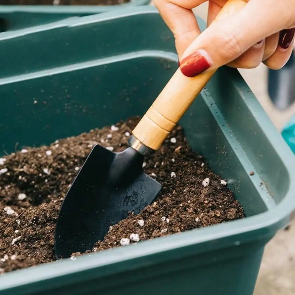 3PC/Set Mini Garden Tool Set G - đánh giá và giá Gardening Tools On Sale