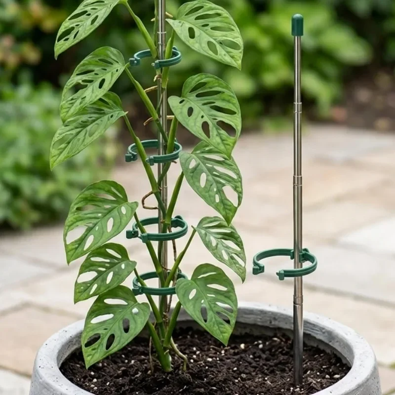 5/1PCS Retractable Plant Suppo - đánh giá và giá Gardening Tools Hoe
