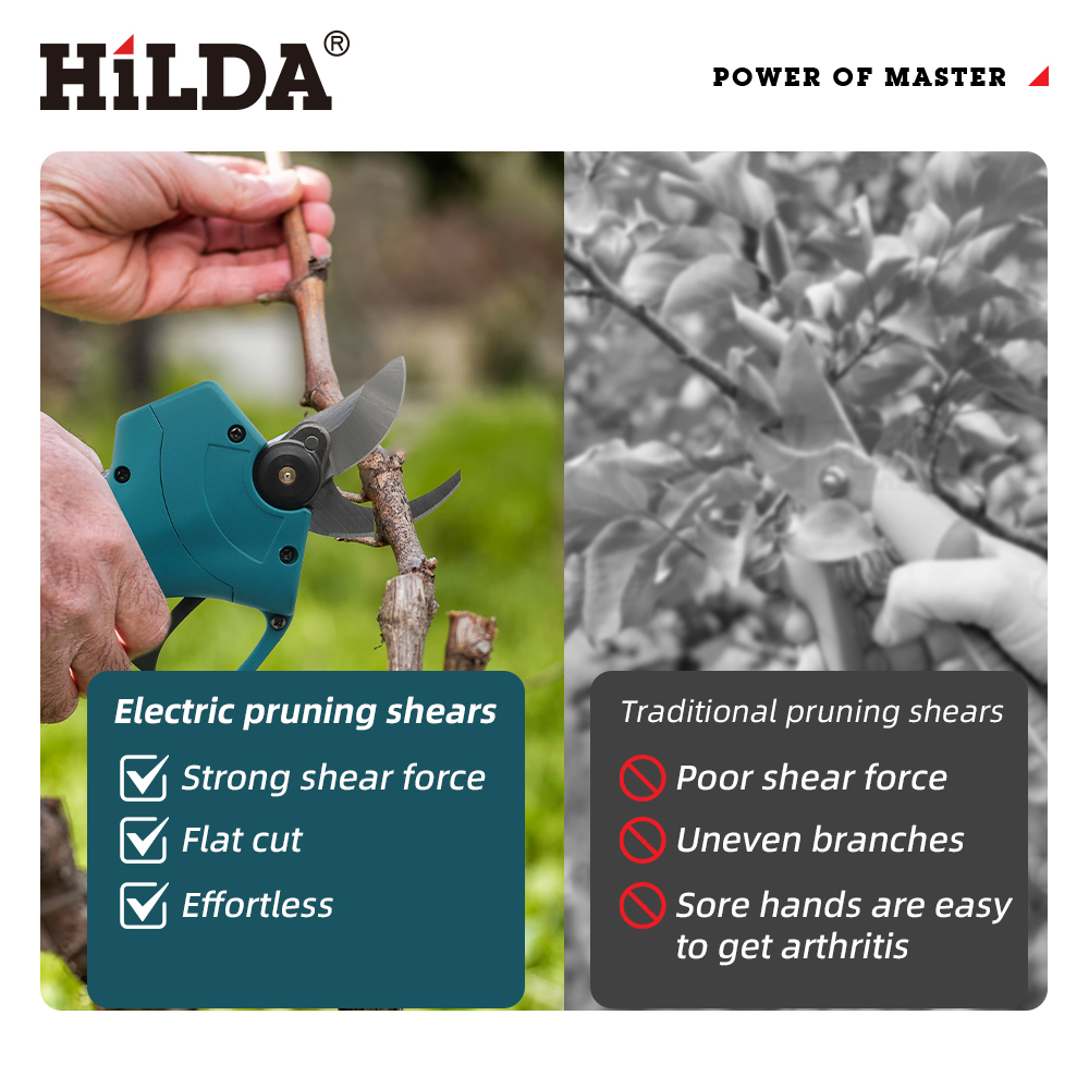 HILDA 18V Brushless Cordless E - đánh giá và giá Gardening Tools Usa