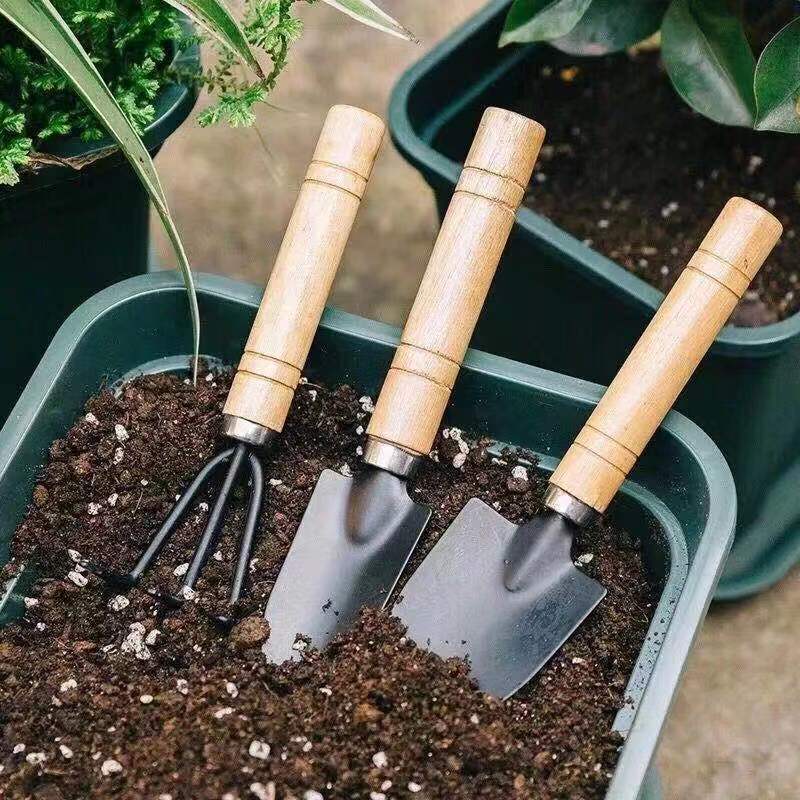 3PC/1Set Mini Gardening Tools  - đánh giá và giá Gardening Tools Hoe