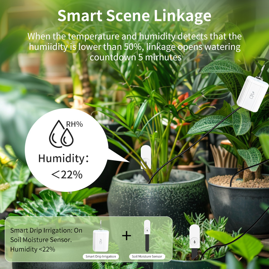 Smart Zigbee 3.0 Soil Tester H - đánh giá và giá Moisture Meter Plant