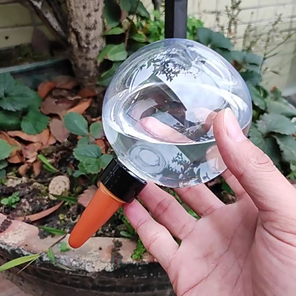 500ML Self Watering Globes Dri - đánh giá và giá Self-Watering Planter
