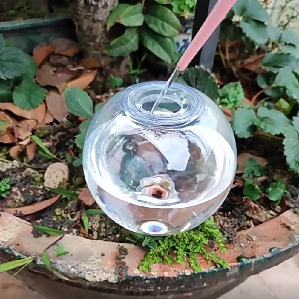 500ML Self Watering Globes Dri - đánh giá và giá Self-Watering Planter