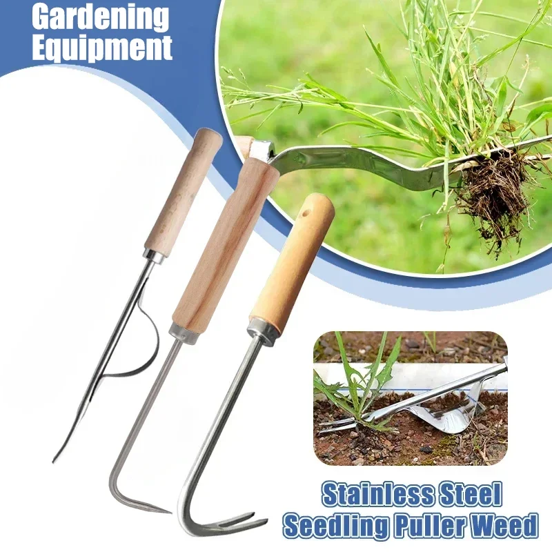 Stainless Steel Gardening Weed - đánh giá và giá Grass Seed Spreader