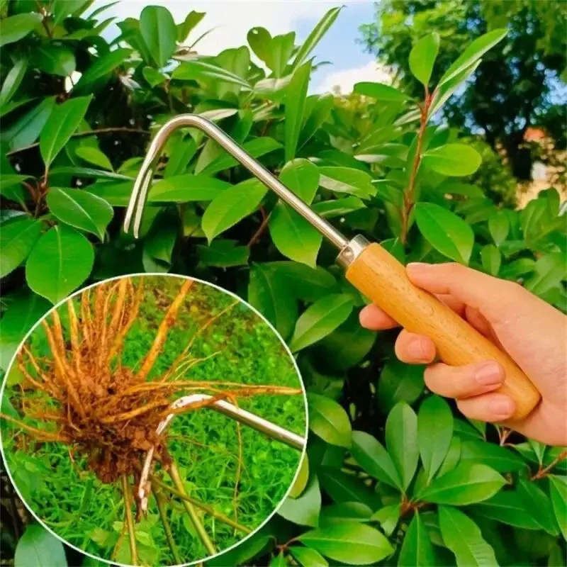 Stainless Steel Gardening Weed - đánh giá và giá Grass Seed Spreader