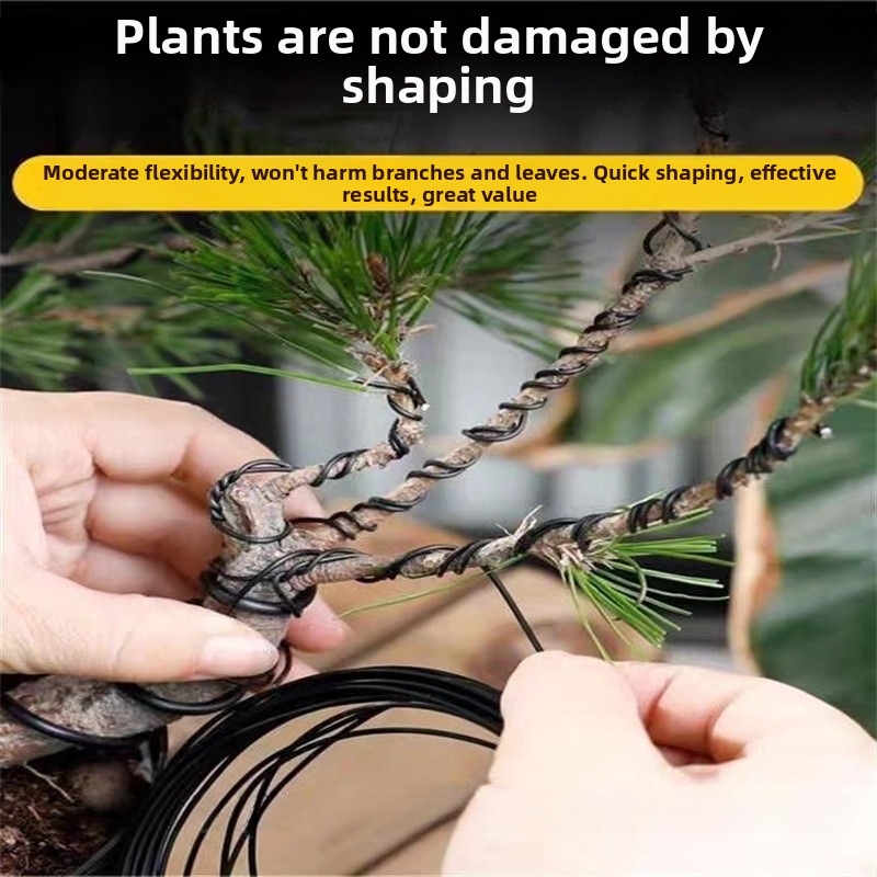 1.5MM Bonsai Wires Aluminum Bo - đánh giá và giá Gardening Tools And Uses