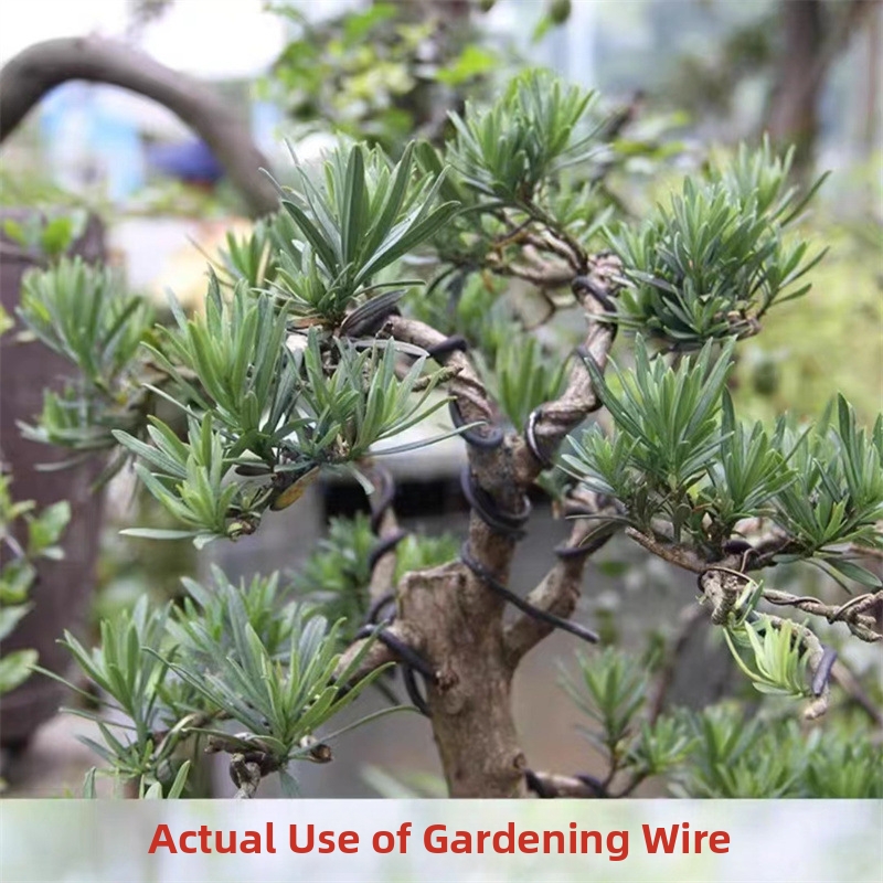 1.5MM Bonsai Wires Aluminum Bo - đánh giá và giá Gardening Tools And Uses