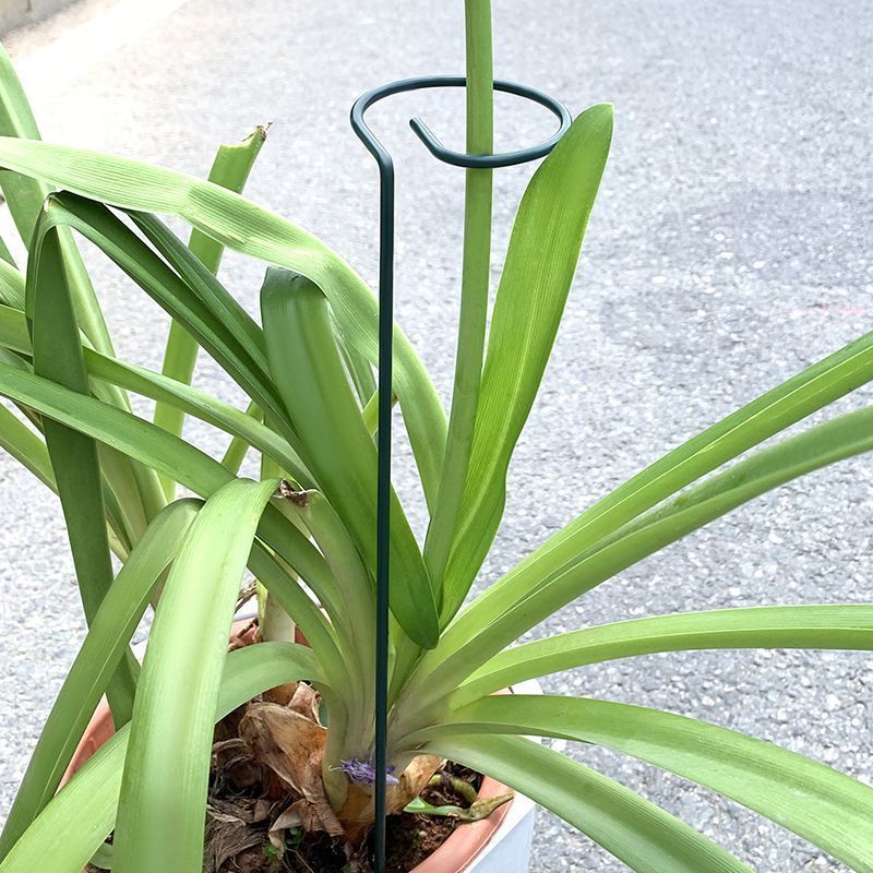 1-10pcs Metal Single Stem Plan - đánh giá và giá Gardening Tools Hoe