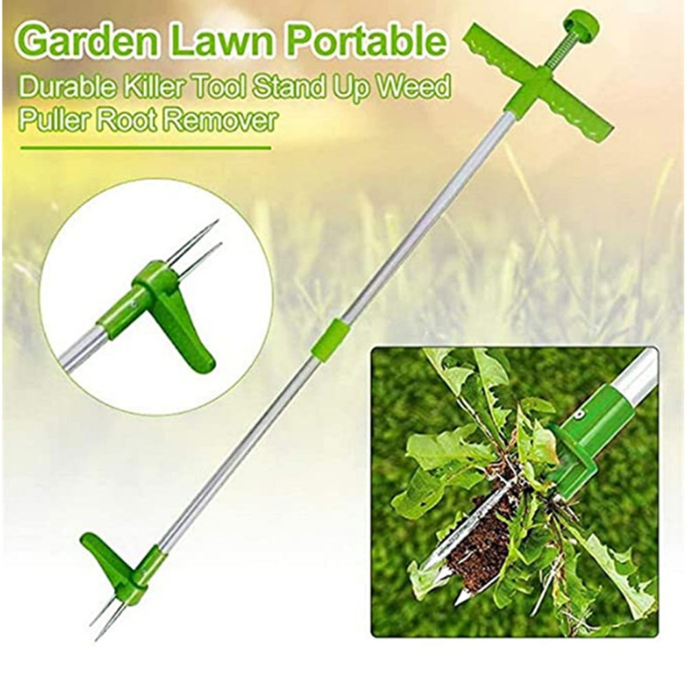 manual durable killer tool sta - đánh giá và giá Grass Seed Spreader