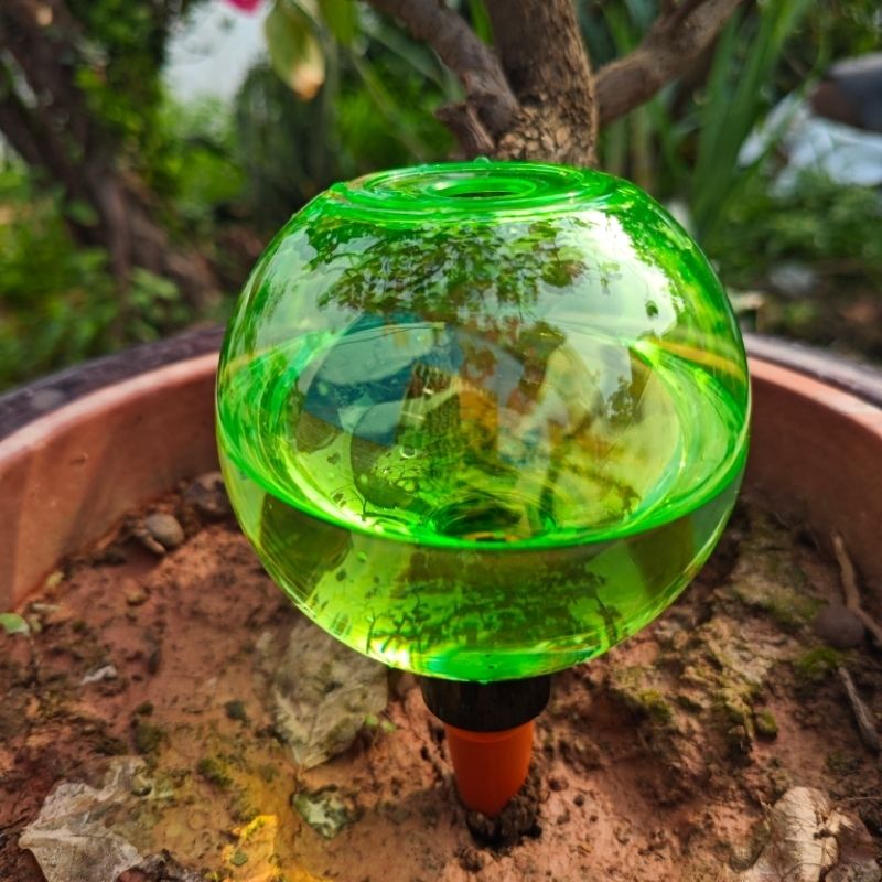 3pcs Large Plant Self Watering - đánh giá và giá Self-Watering Planter