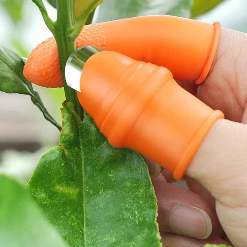 Thumb Knife Vegetable Picking  - đánh giá và giá Gardening Tools Knife