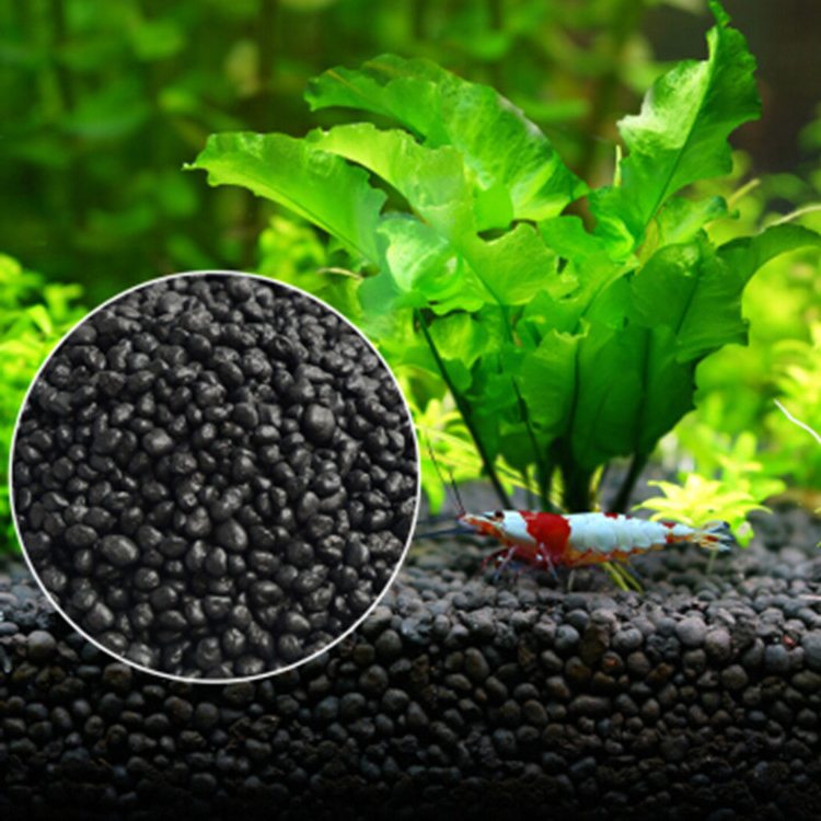 Bể Cá Cảnh Vật Có Hạt Đất Fish - đánh giá và giá Aquaponics Fish Tank