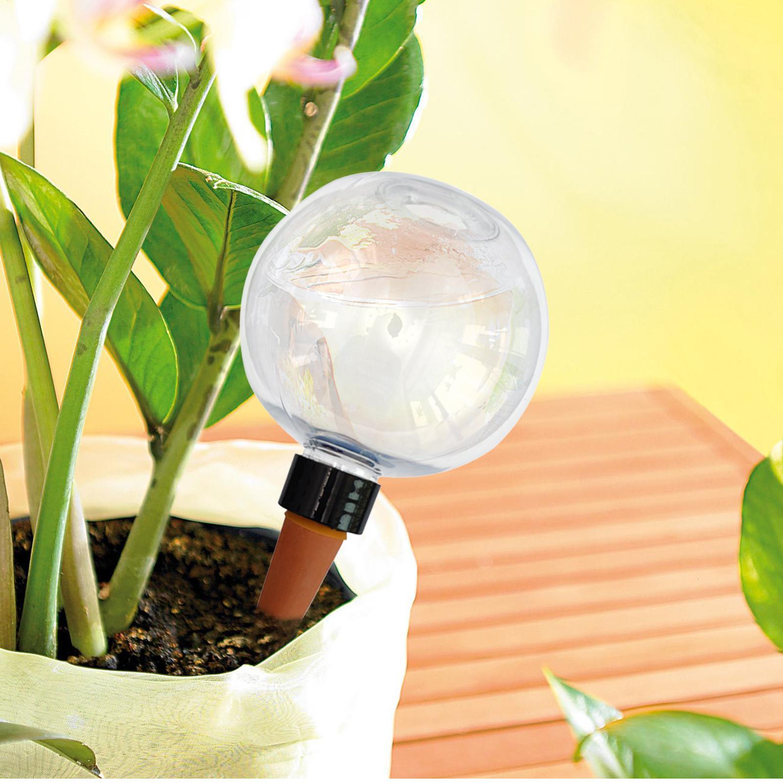500ml Automatic Plant Watering - đánh giá và giá Self-Watering Planter