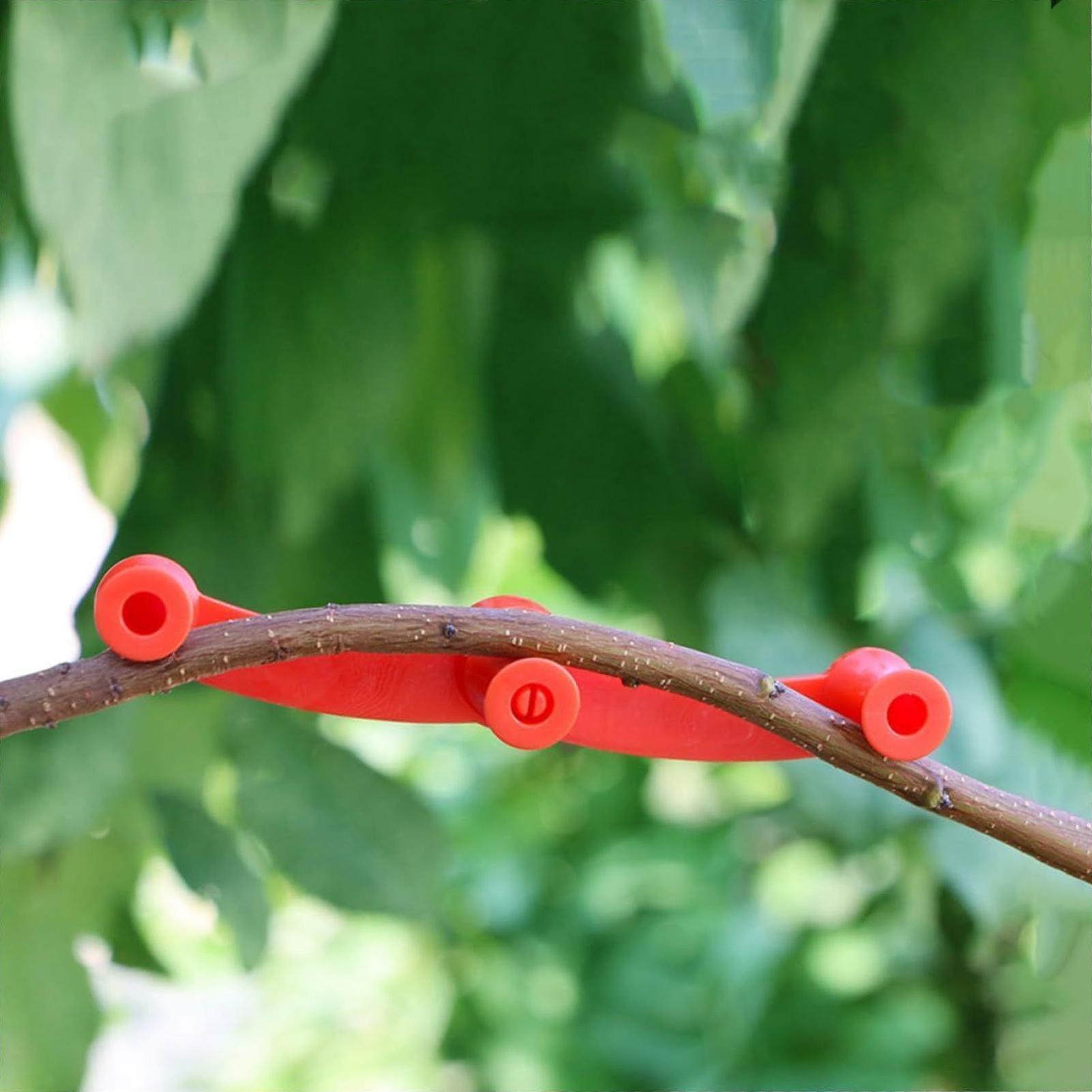 10pcs Plant Training Clips Tre - đánh giá và giá Gardening Tools Lowes