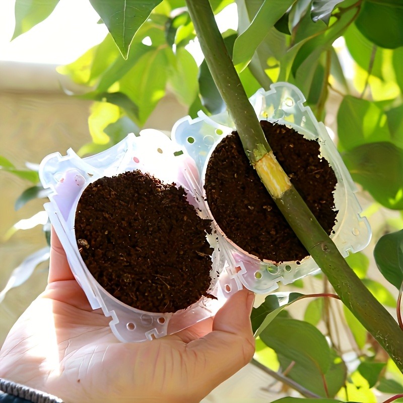 10Pcs High Pressure Plant Root - đánh giá và giá Gardening Tools And Uses