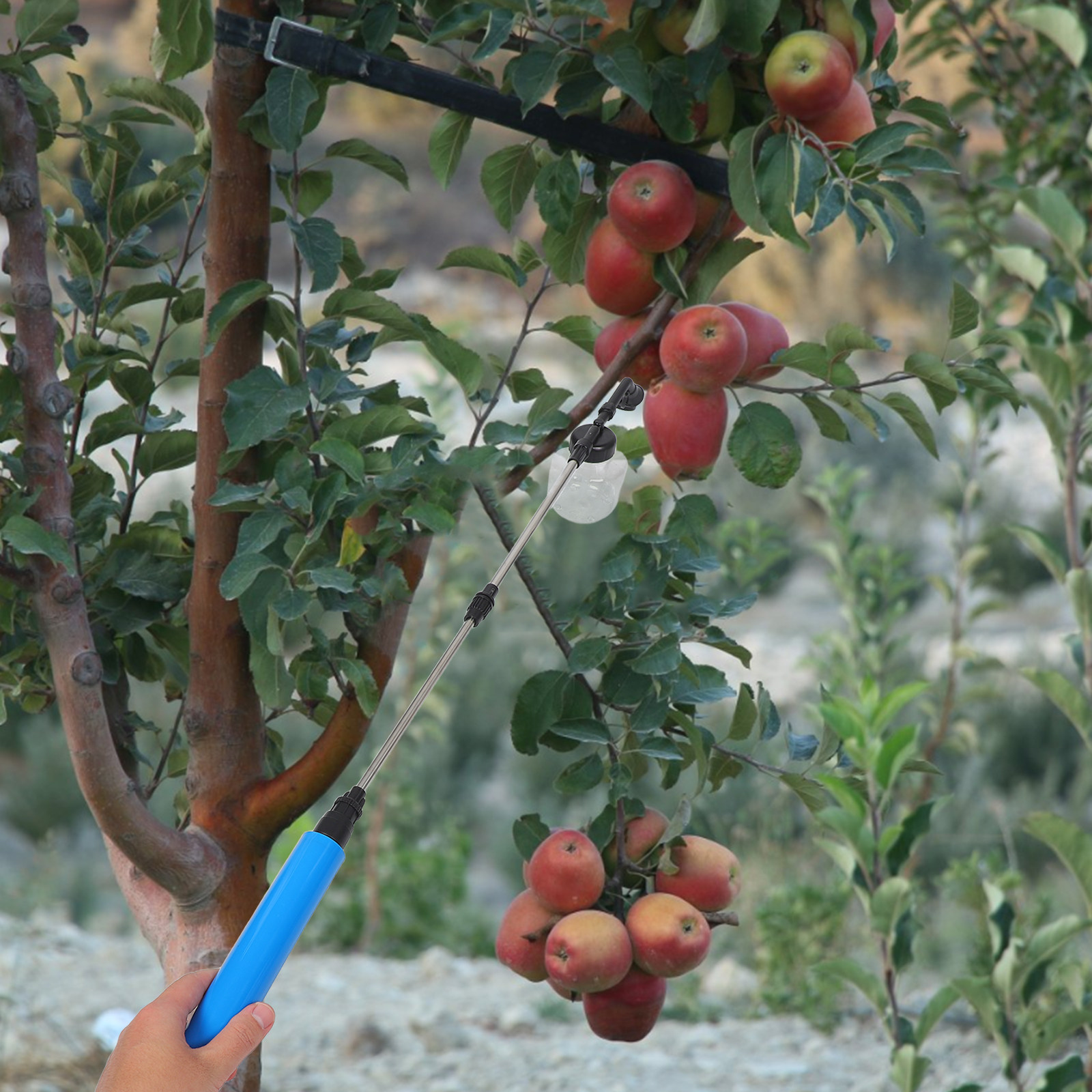 Hand Pollination Sprayer For F - đánh giá và giá Gardening Tools And Uses
