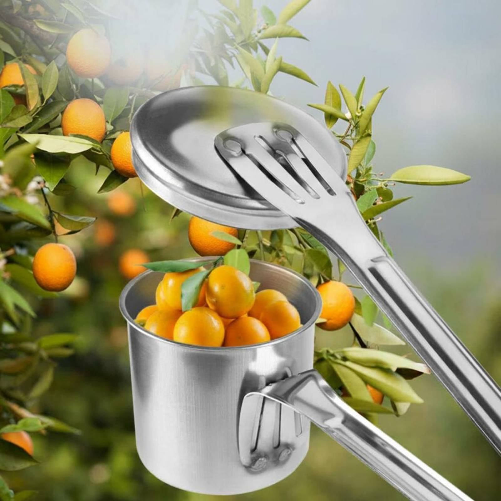 Cup Fruit Picker Stainless Ste - đánh giá và giá Gardening Tools And Uses