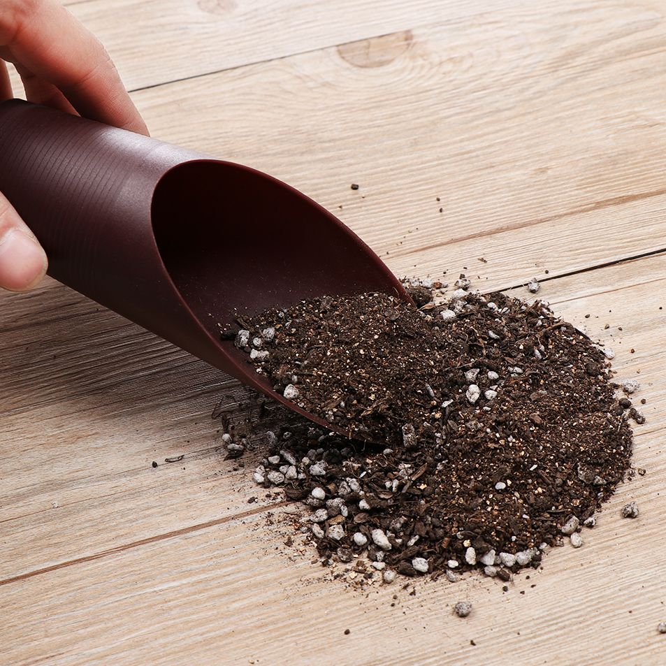 1PC Plastic Soil Shovel Cup Fo - đánh giá và giá Gardening Tools Hoe